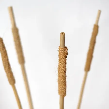 Mon * סיוטאדלה