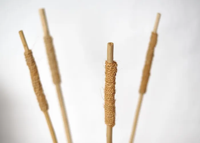 Mon * Ciutadella (Menorca)